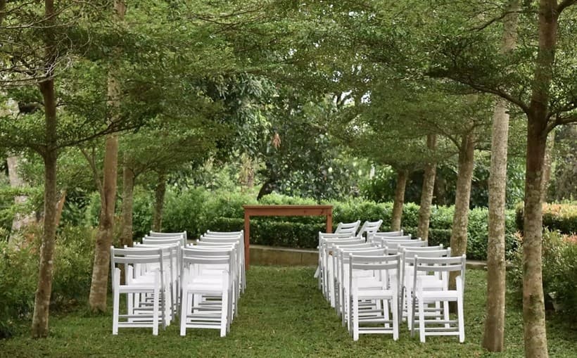 White chairs set out in rows under the trees at Almond Gardens